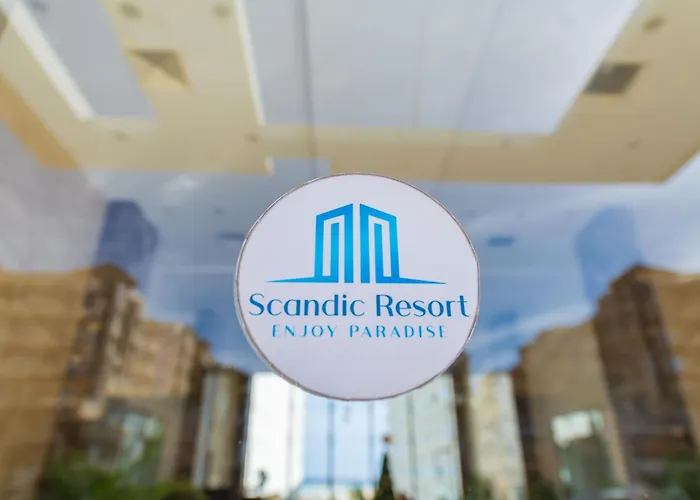 Scandic 523